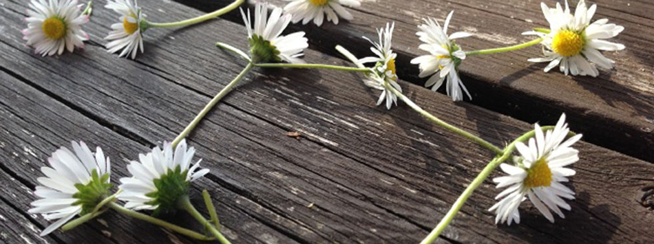 slideshow 1